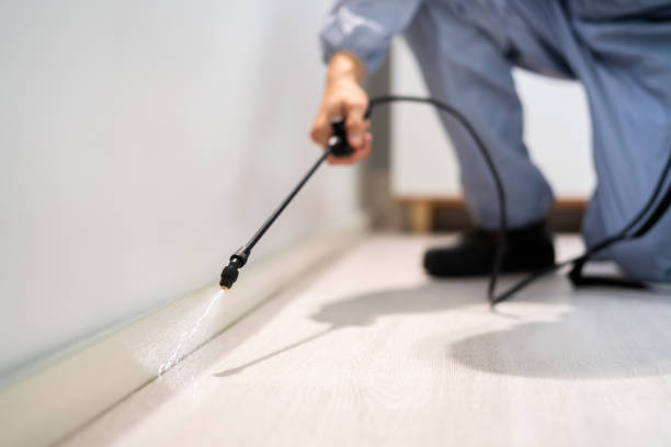 Licensed Cockroach Control service in Meridian, CO - Nex Pest Control