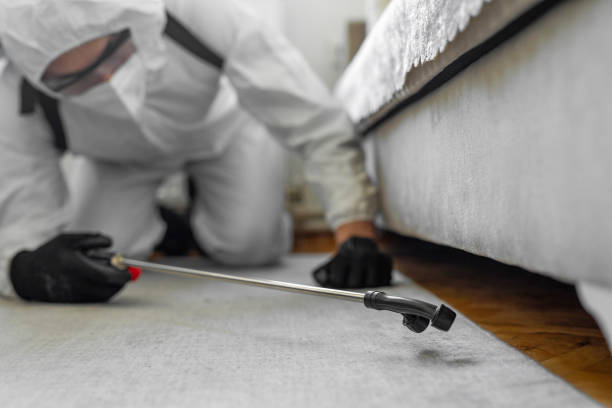 Professional Cockroach Control technician working in Meridian, CO